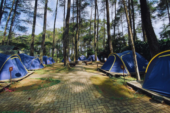 Team Building Bandung